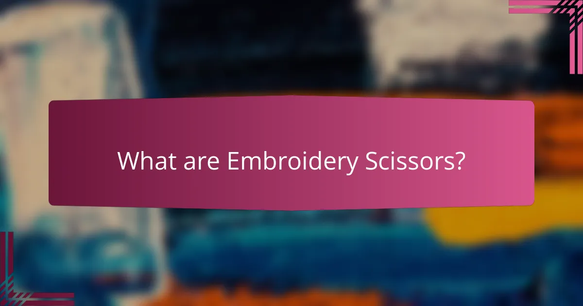 What are Embroidery Scissors?